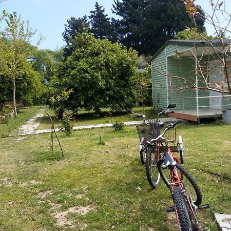 Sakli Bahce Pension Çıralı Zewnętrze zdjęcie