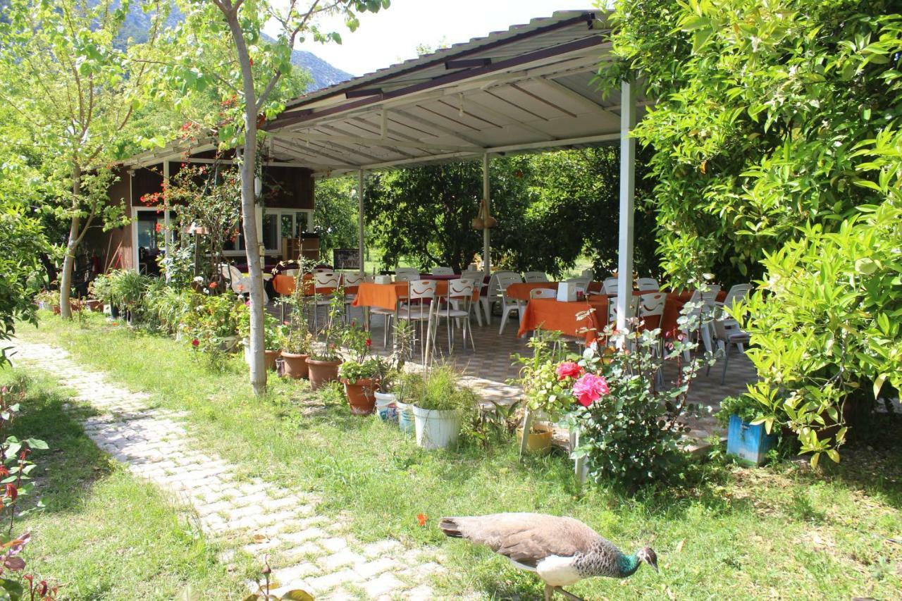 Sakli Bahce Pension Çıralı Zewnętrze zdjęcie