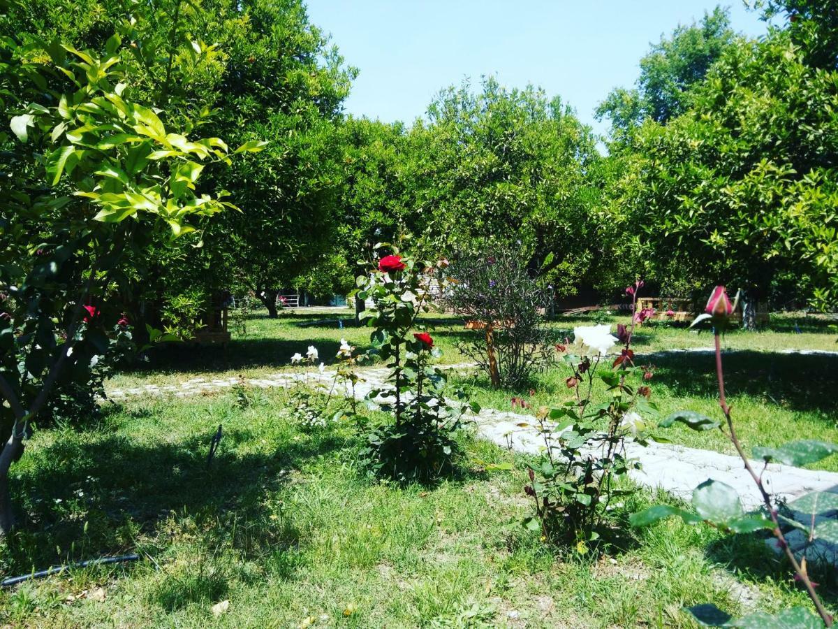 Sakli Bahce Pension Çıralı Zewnętrze zdjęcie